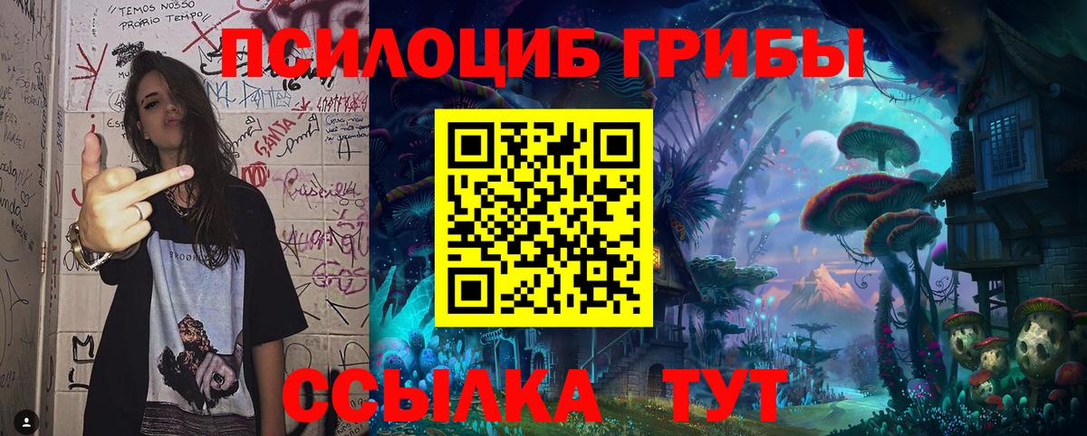Галлюциногенные грибы Magic Shrooms Калач-на-Дону
